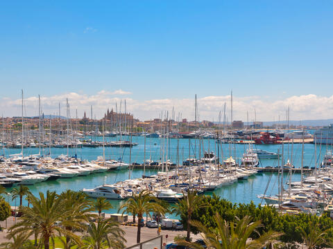 View from the Hotel in Palma onto the marina